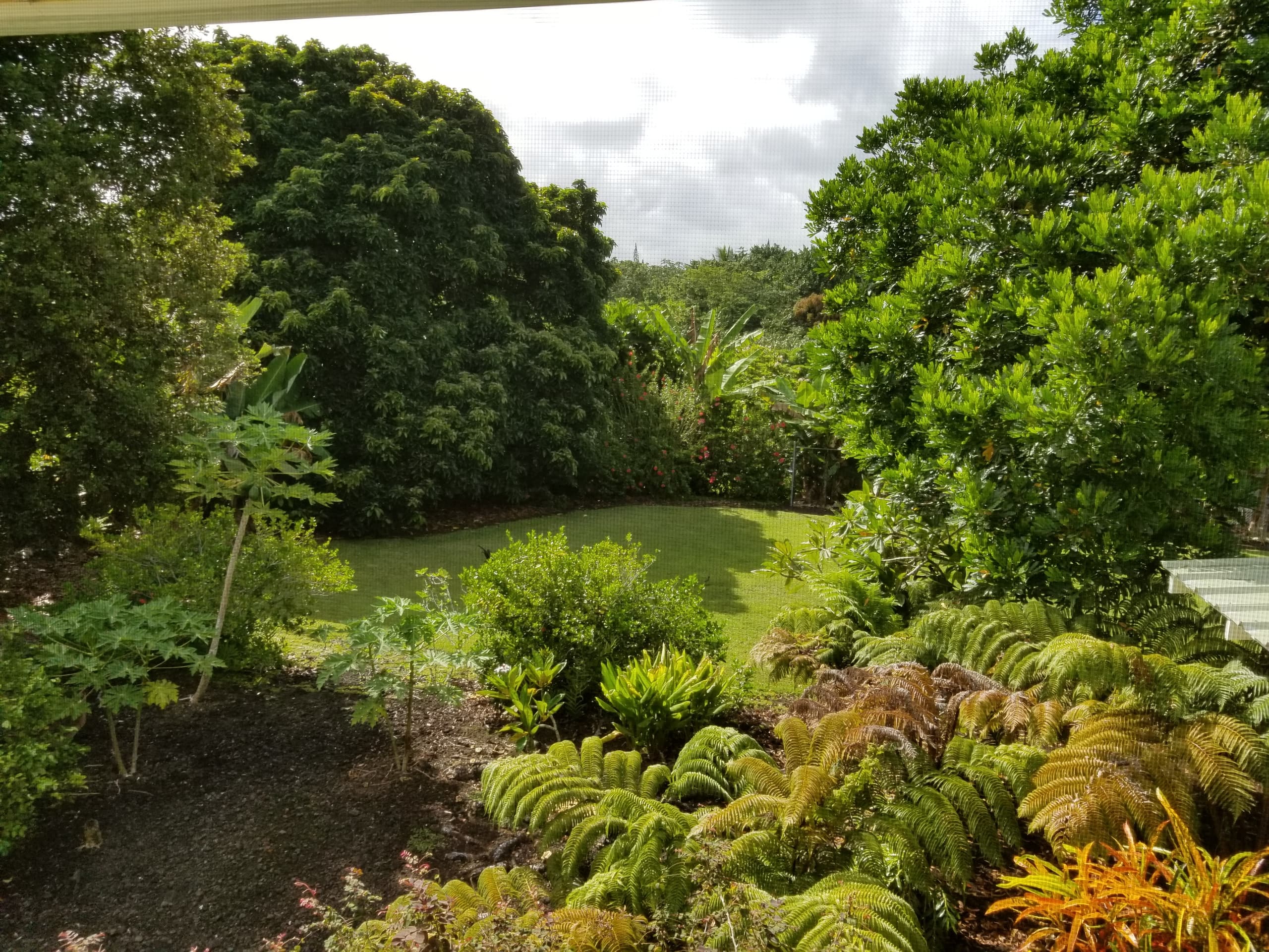 Home in Pahoa · ★4.96 · 2 bedrooms · 2 beds · 1 private bath - Image 15