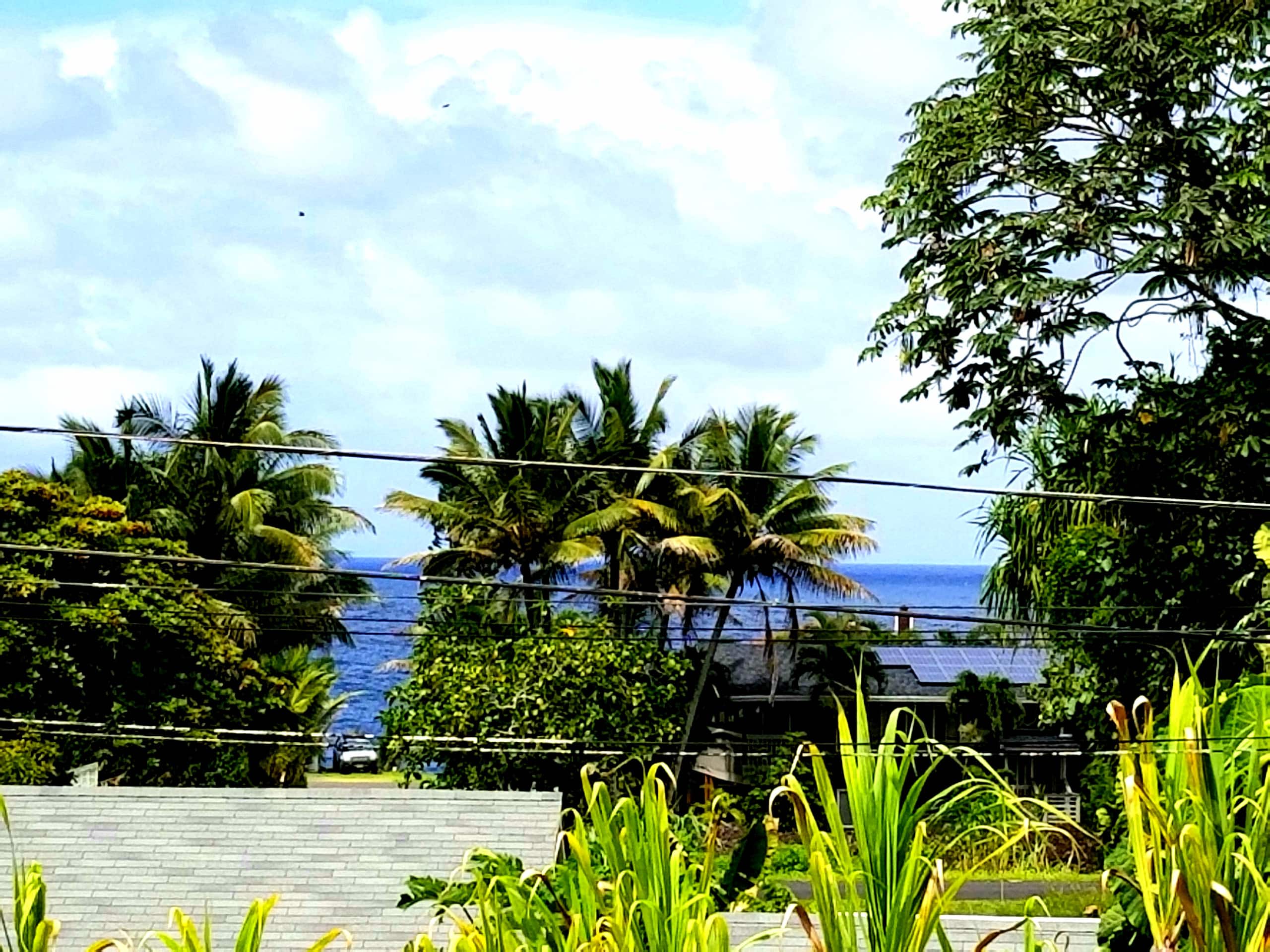 Home in Pahoa · ★4.96 · 2 bedrooms · 2 beds · 1 private bath - Image 23