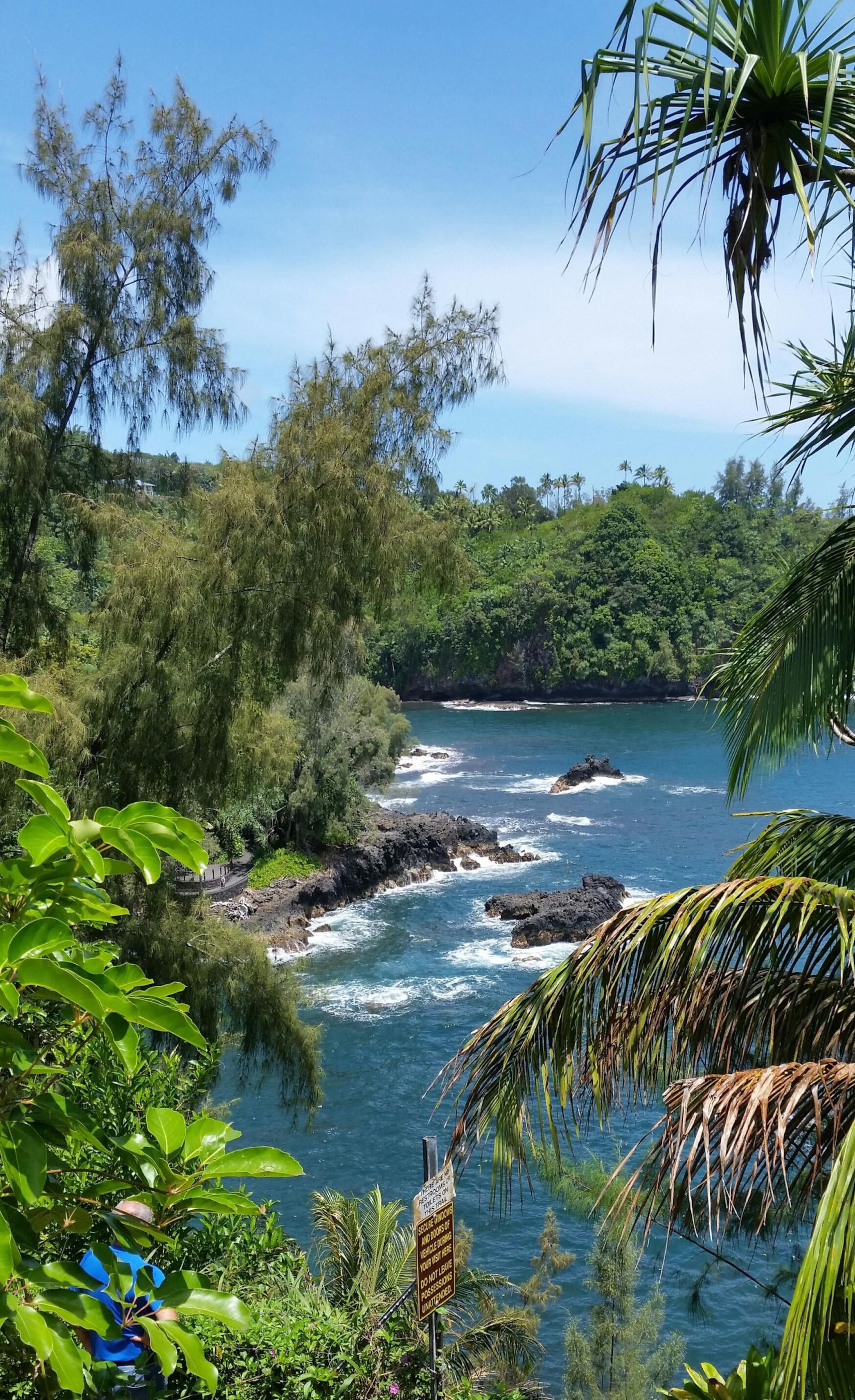Home in Pahoa · ★4.96 · 2 bedrooms · 2 beds · 1 private bath - Image 30