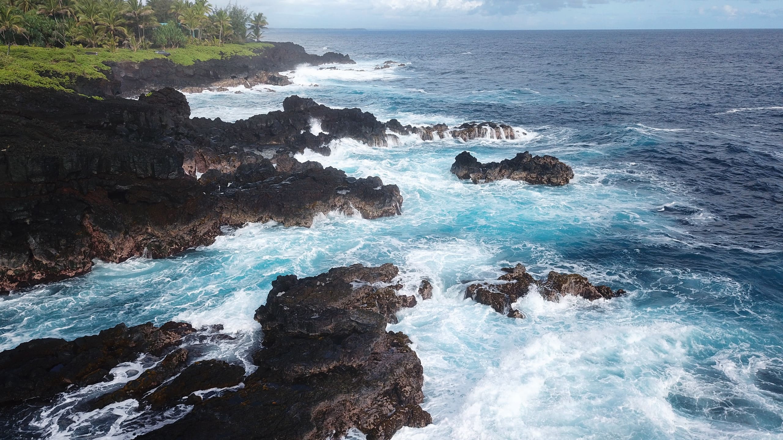 Home in Pahoa · ★4.96 · 2 bedrooms · 2 beds · 1 private bath - Image 32