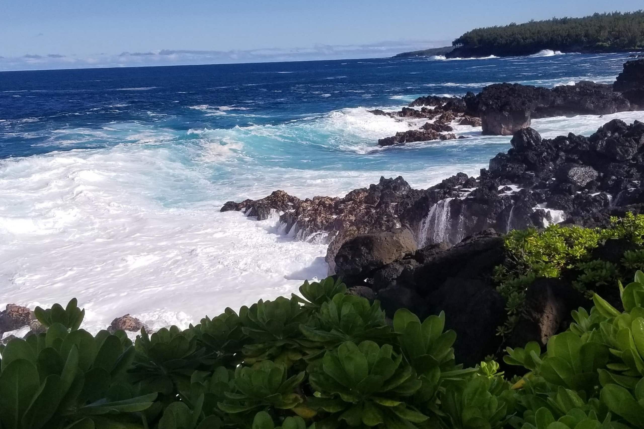Home in Pahoa · ★4.96 · 2 bedrooms · 2 beds · 1 private bath - Image 28