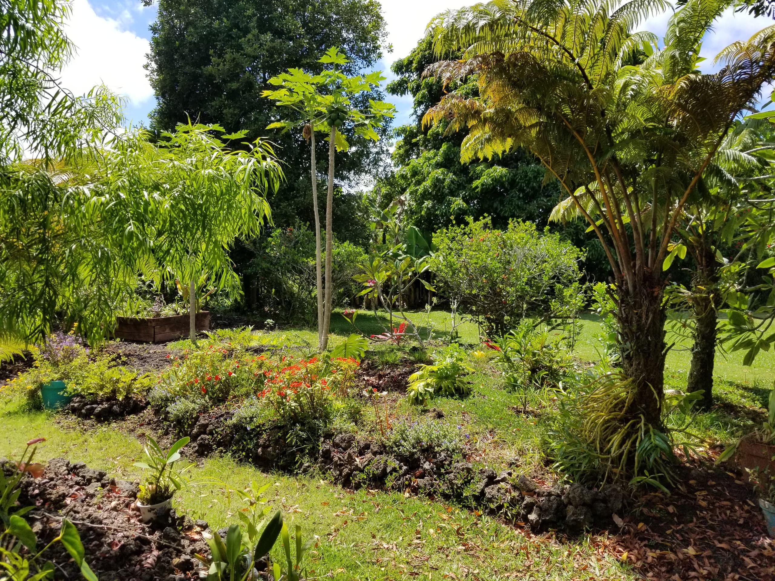 Home in Pahoa · ★4.96 · 2 bedrooms · 2 beds · 1 private bath - Image 16