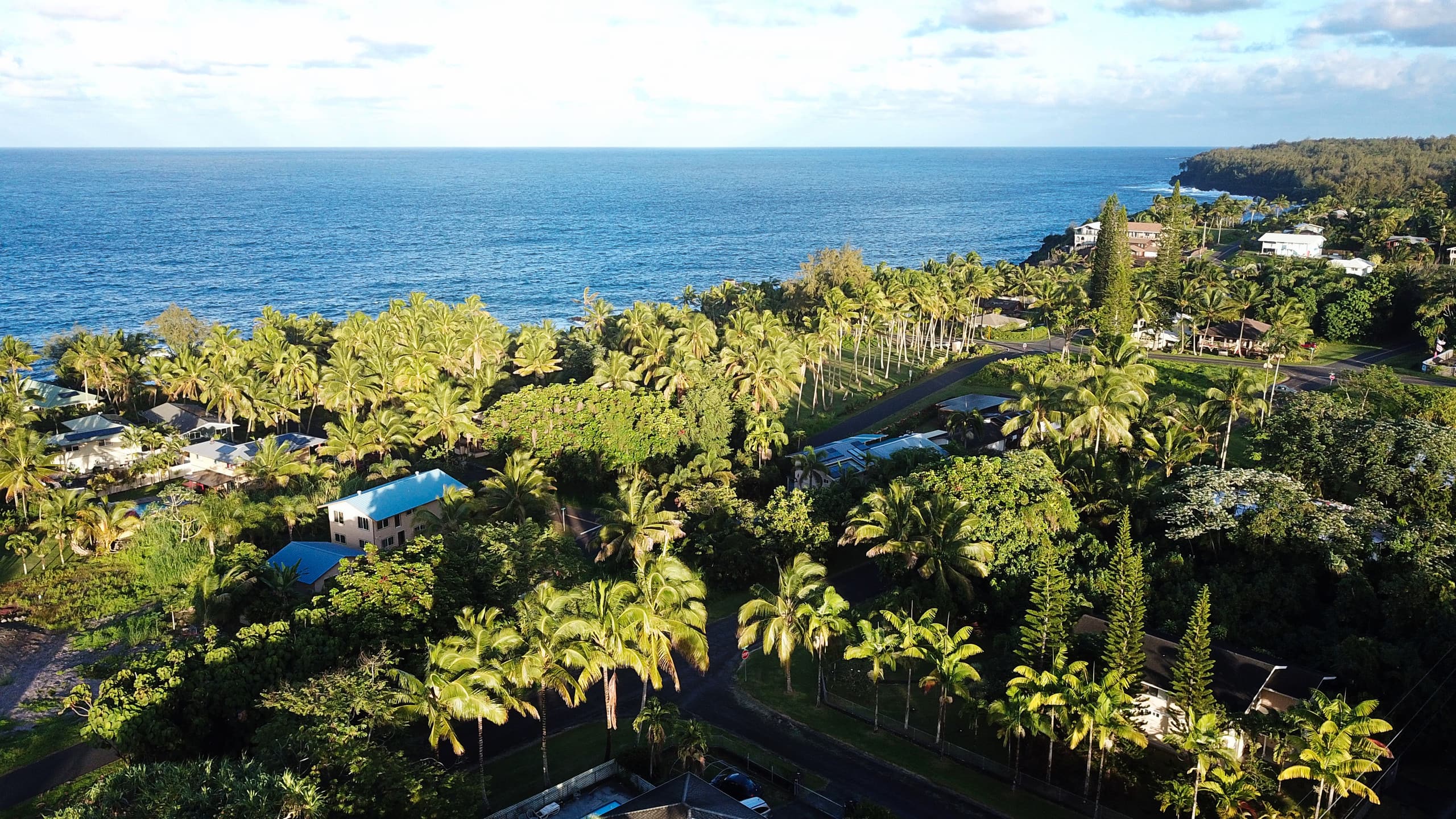 Home in Pahoa · ★4.96 · 2 bedrooms · 2 beds · 1 private bath - Image 35