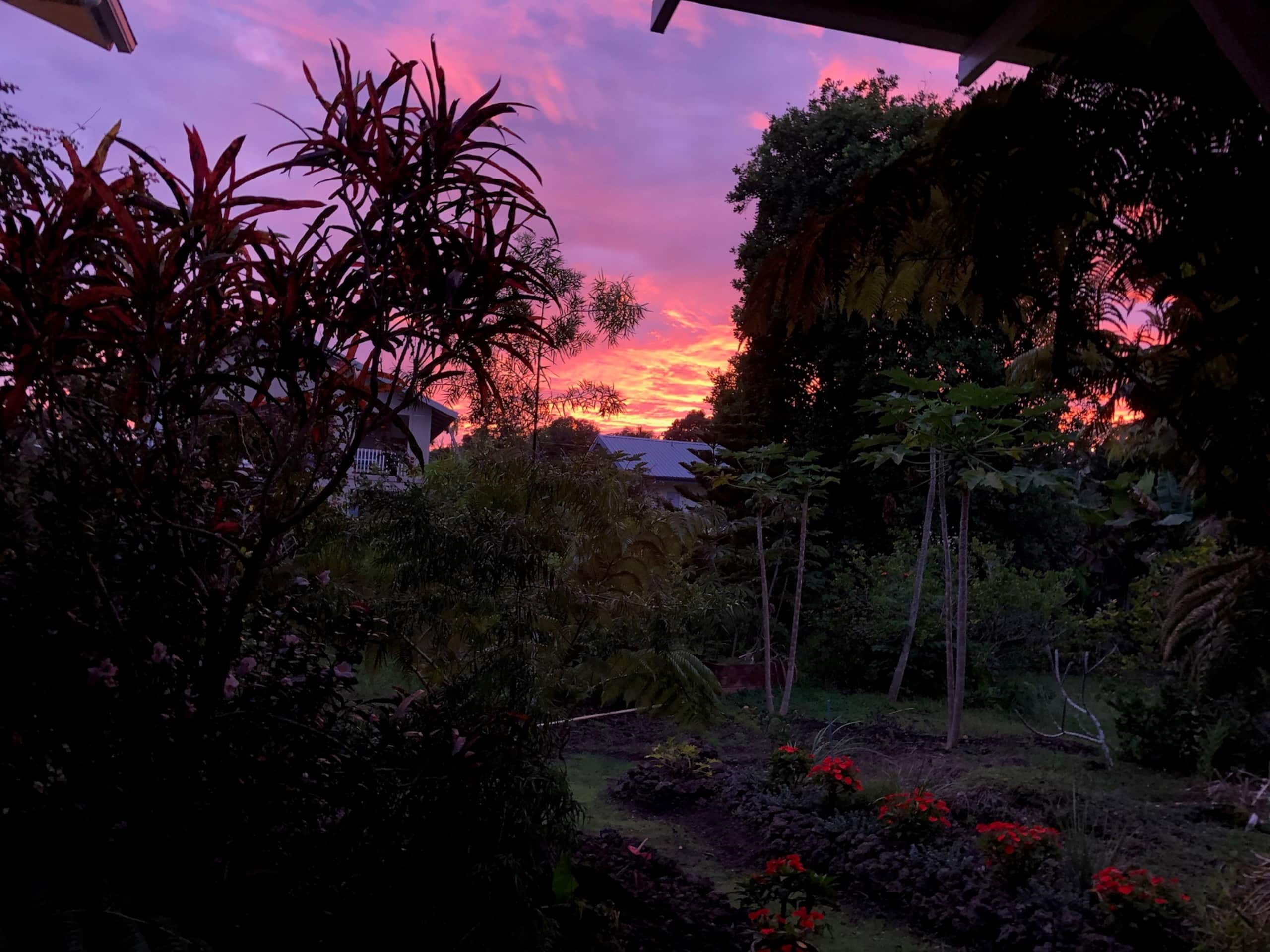 Home in Pahoa · ★4.96 · 2 bedrooms · 2 beds · 1 private bath - Image 14