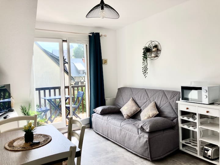 Cabourg, apartment T2 direct access to sea