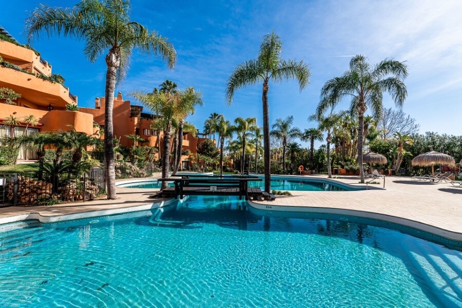 A large pool area is surrounded by palm trees and tropical plants. Sun loungers are positioned on the poolside, and thatched umbrellas provide shade. The inviting blue water reflects the clear sky, creating a serene atmosphere for relaxation.