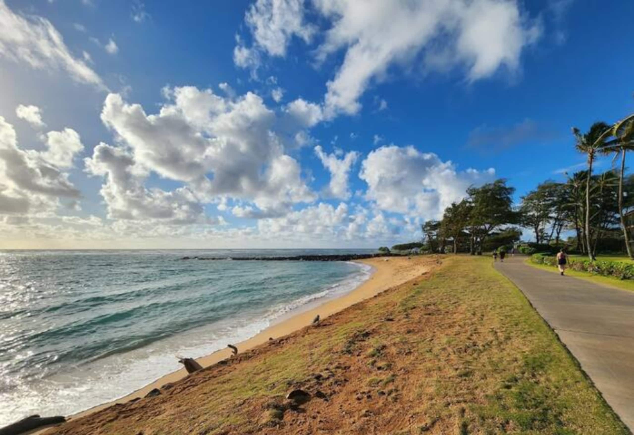 Δ Cozy & Compact 1BR  5 min to Ocean - Photo 29
