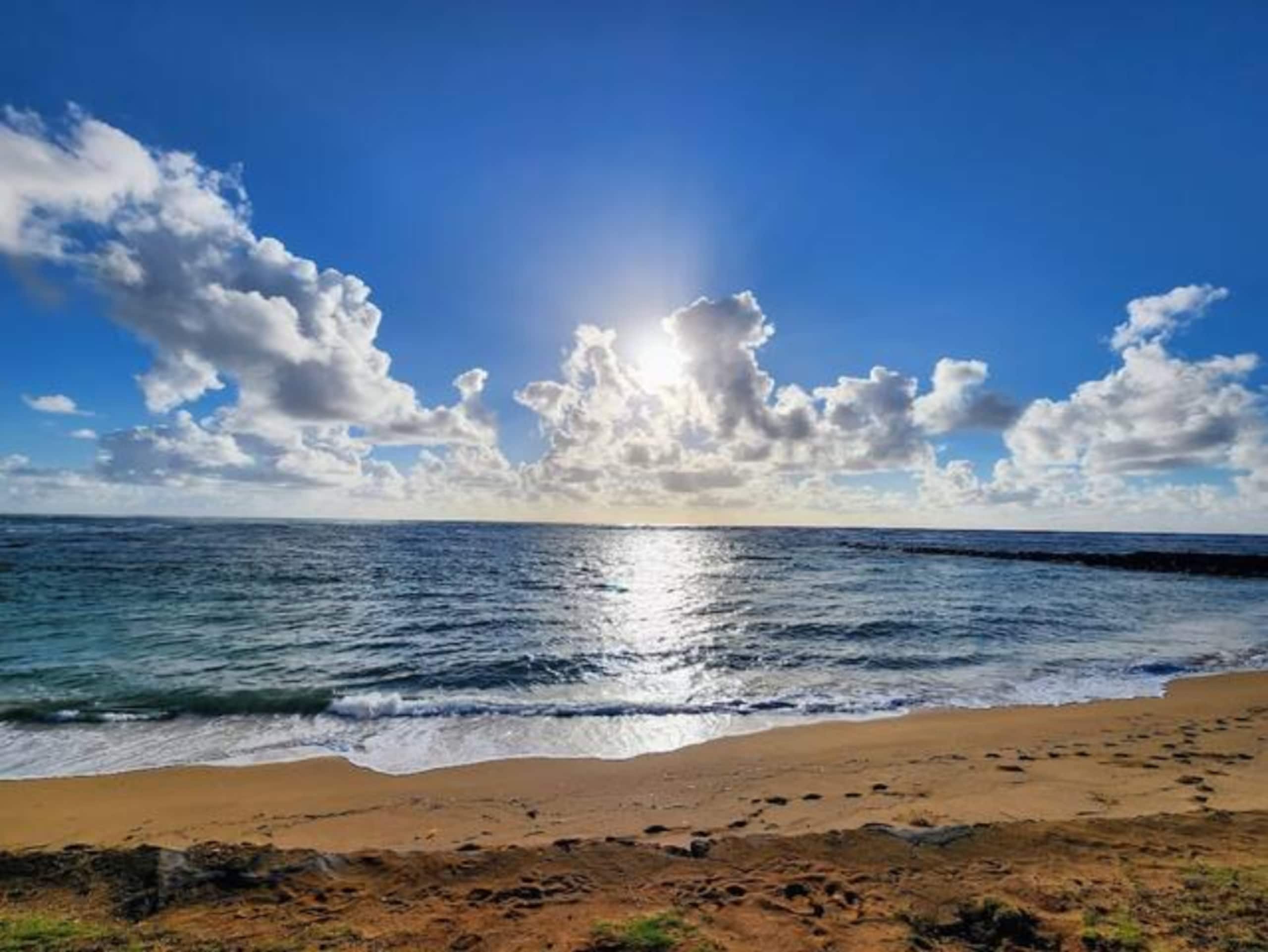 Δ Cozy & Compact 1BR  5 min to Ocean - Photo 26