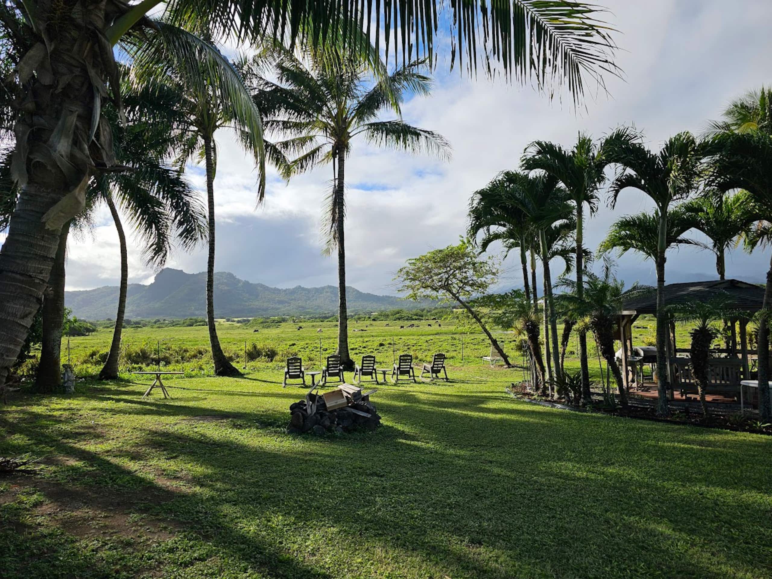 Δ Cozy & Compact 1BR 5 min to Ocean - Photo 2