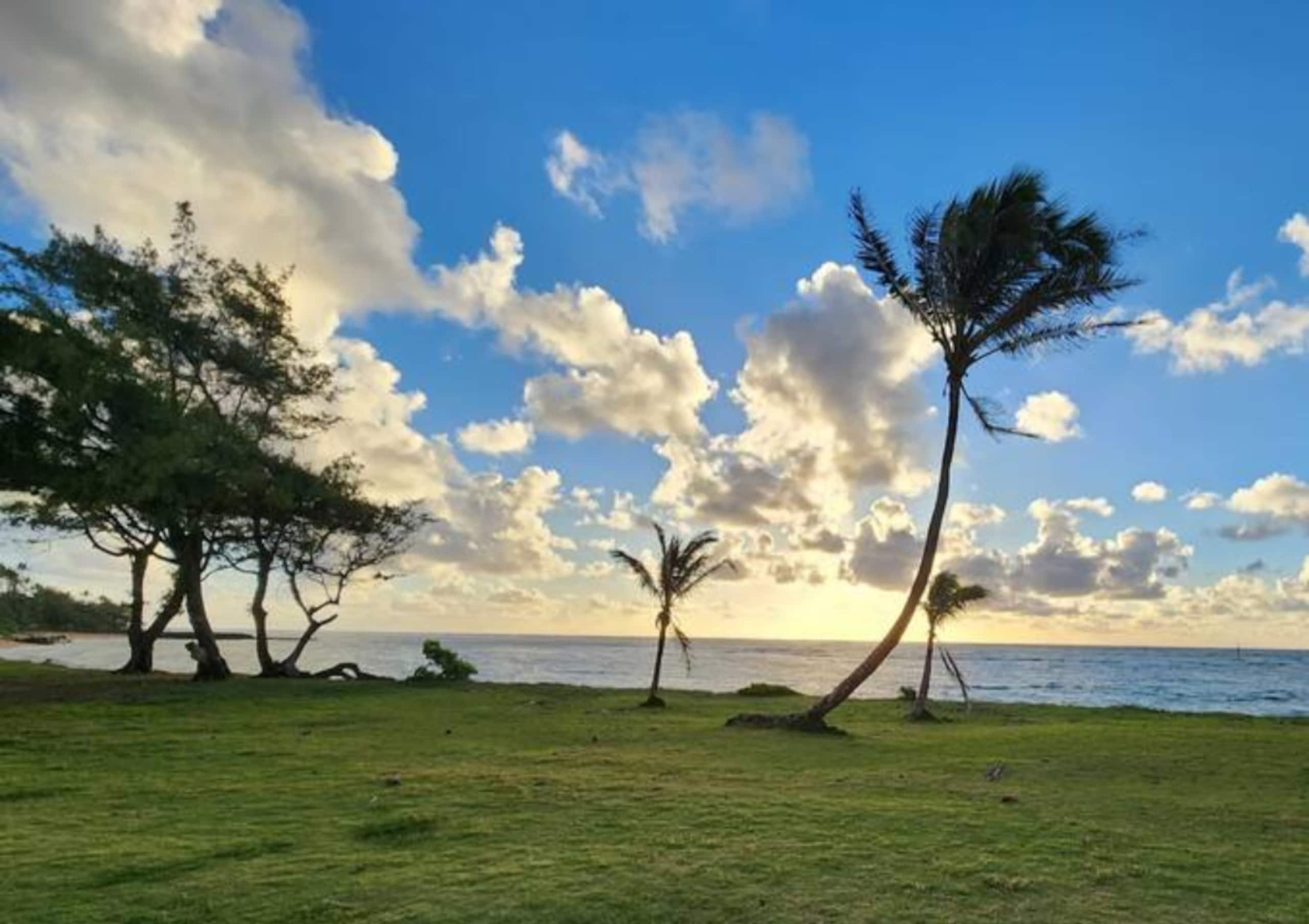Δ Cozy & Compact 1BR  5 min to Ocean - Photo 24