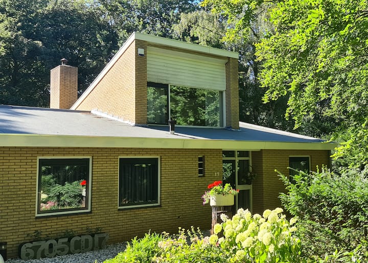 B&B in the woods. Winner TV-show Bed and Breakfast