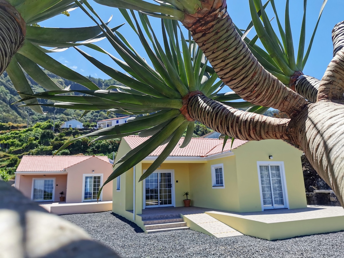 Two charming houses are framed by lush palm leaves, with one in soft yellow and the other in pastel pink. Each house has large windows and a welcoming entrance, with a gravel pathway leading to the front steps, offering a connection to the surrounding natural landscape.