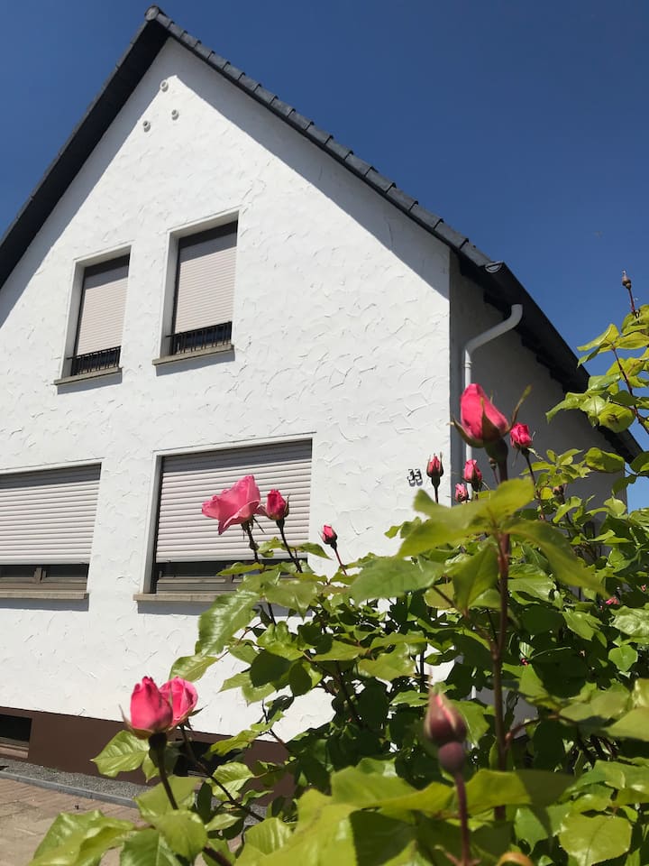 Holiday home Riesling in the beautiful Palatinate Houses for Rent in Haßloch, RheinlandPfalz