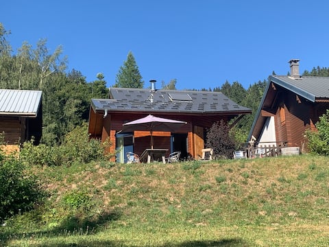 Beautiful 3 bedroom Chalet in AlpeduGrandSerre