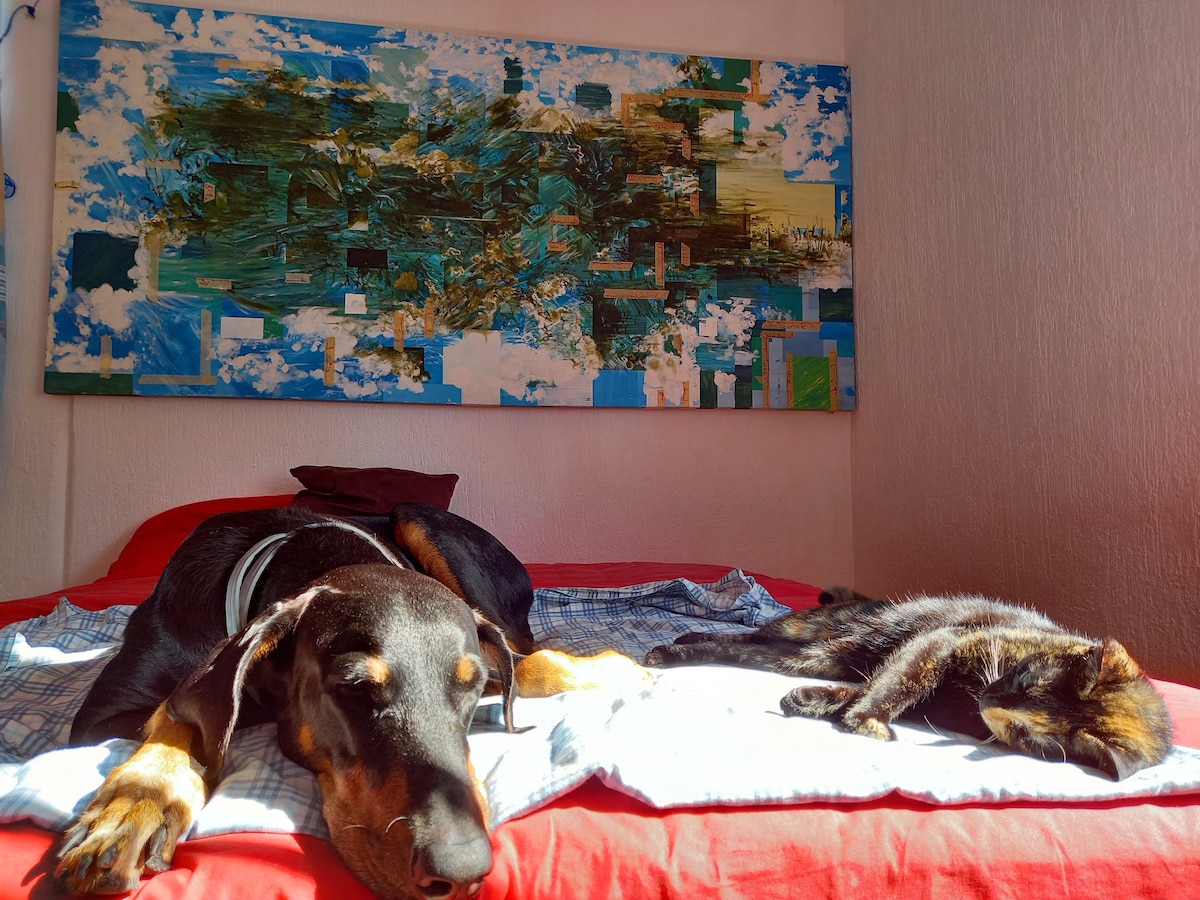 A spacious bed is occupied by a sleeping dog and a cat, both resting comfortably on a light blue blanket. A colorful abstract painting hangs on the wall above, featuring a mix of green, blue, and white hues, enhancing the serene atmosphere.