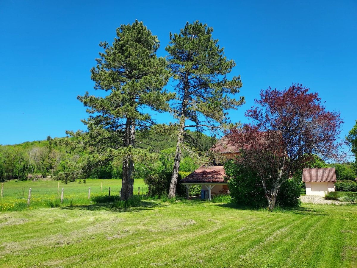 A spacious green lawn is framed by tall pine and colorful foliage, casting gentle shadows on the grass. In the background, a warm-toned building complements the natural surroundings, with rolling hills visible beyond. The clear blue sky enhances the peaceful setting.