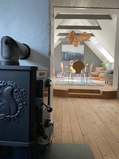 Cozy large apartment