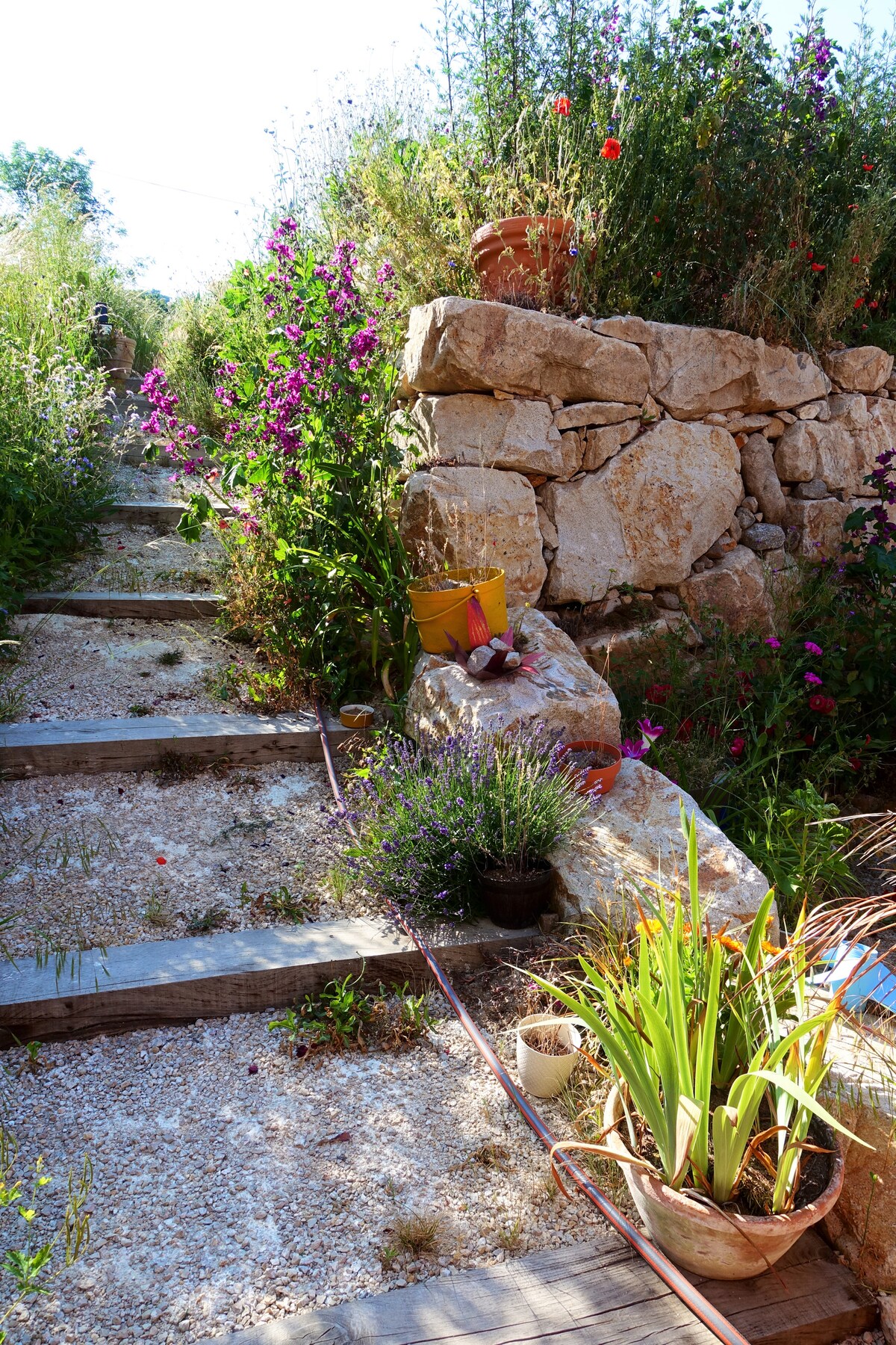 A pathway is lined with natural stone steps surrounded by lush foliage and colorful flowers. Pots filled with vibrant plants are positioned along the sides, enhancing the garden-like atmosphere. Sunlight filters through the greenery, creating a sense of warmth and serenity.