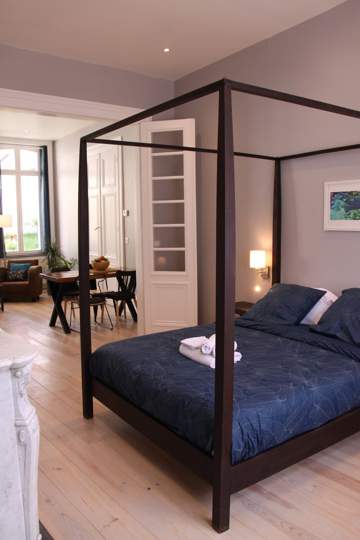 Zo spálne si vychutnajte pekný výhľad. Francúzske dvere vám umožňujú prispôsobiť priestor obývacej izby podľa vašich želaní. Posteľ s baldachýnom. Šarm starého zrekonštruovaného podľa chuti dňa. Veľmi svetlá obývacia izba a izba. Saint-Omer, prenájom