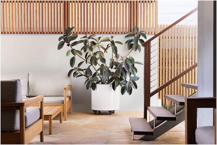 Pelicans | Blueys Beach gallery image 3