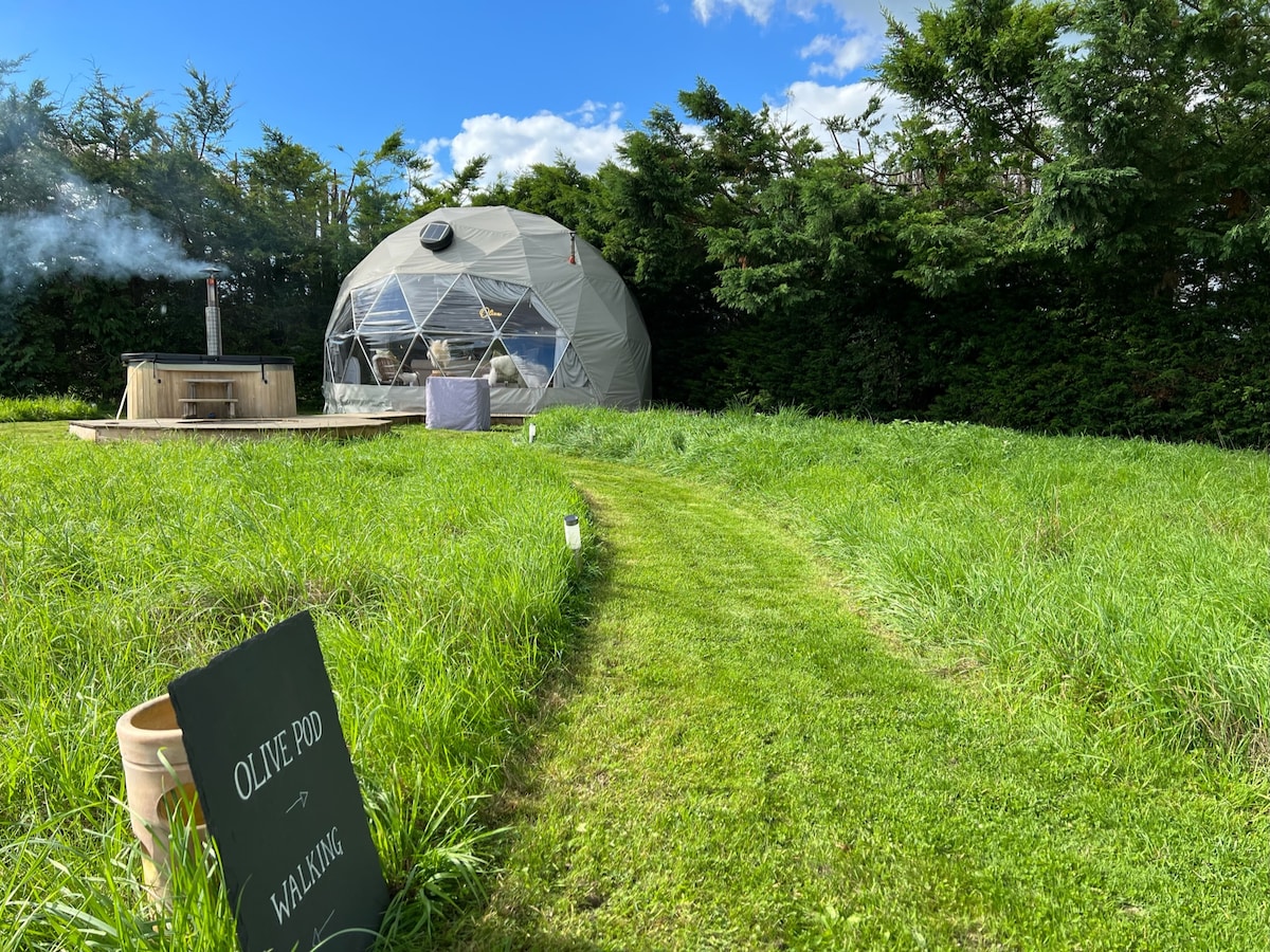 A private entrance path leads through lush green grass to the Olive Pod. The geo dome structure sits amid tall greenery, with a wood-fired hot tub and smoke rising in the background, creating a serene outdoor setting.