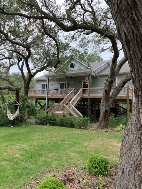 Welcome to the Tree House