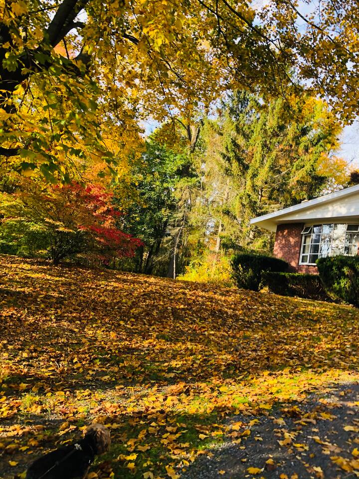 Charming 3 bedroom country house in Hudson Houses for Rent in Hudson