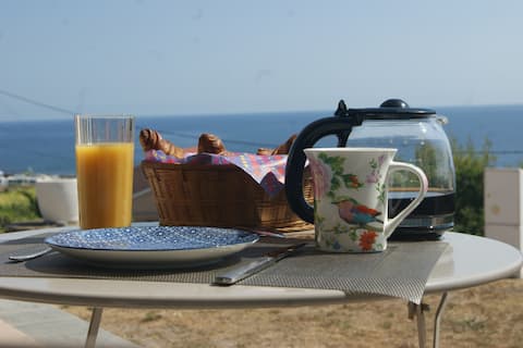 Les Palmiers - Sea view in Santa Severa