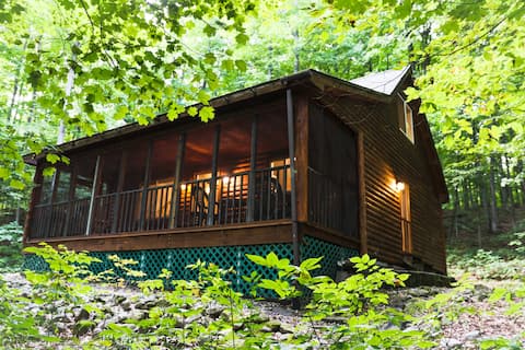 Pleasant Valley Cabin - 5 min downtown Boyne City