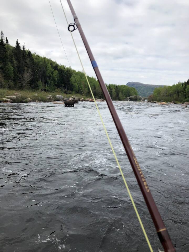 Clarenville Vacation Rentals & Homes Newfoundland and Labrador