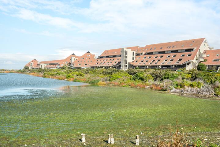 Stylish 3 Bedroom Apartment on Dolphin Beach gallery image 5