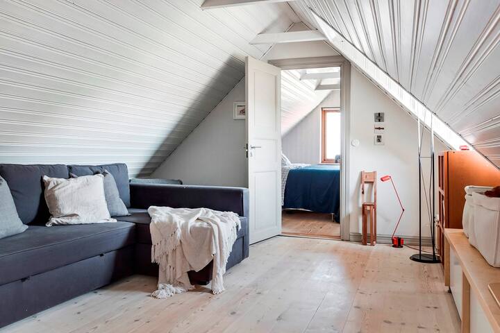 Საძილე და მისაღები ოთახი მაღლა. Ტახტი არის კომფორტული გასაშლელი დივანი, 140 სმ და ორი ერთადგილიანი საწოლი. 