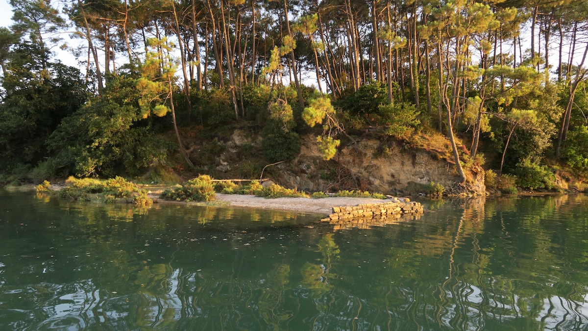 A serene coastal landscape is depicted, featuring a small stone jetty surrounded by calm, reflective waters. Lush greenery and tall trees frame the area, creating a peaceful retreat that invites tranquility and observation of local wildlife.