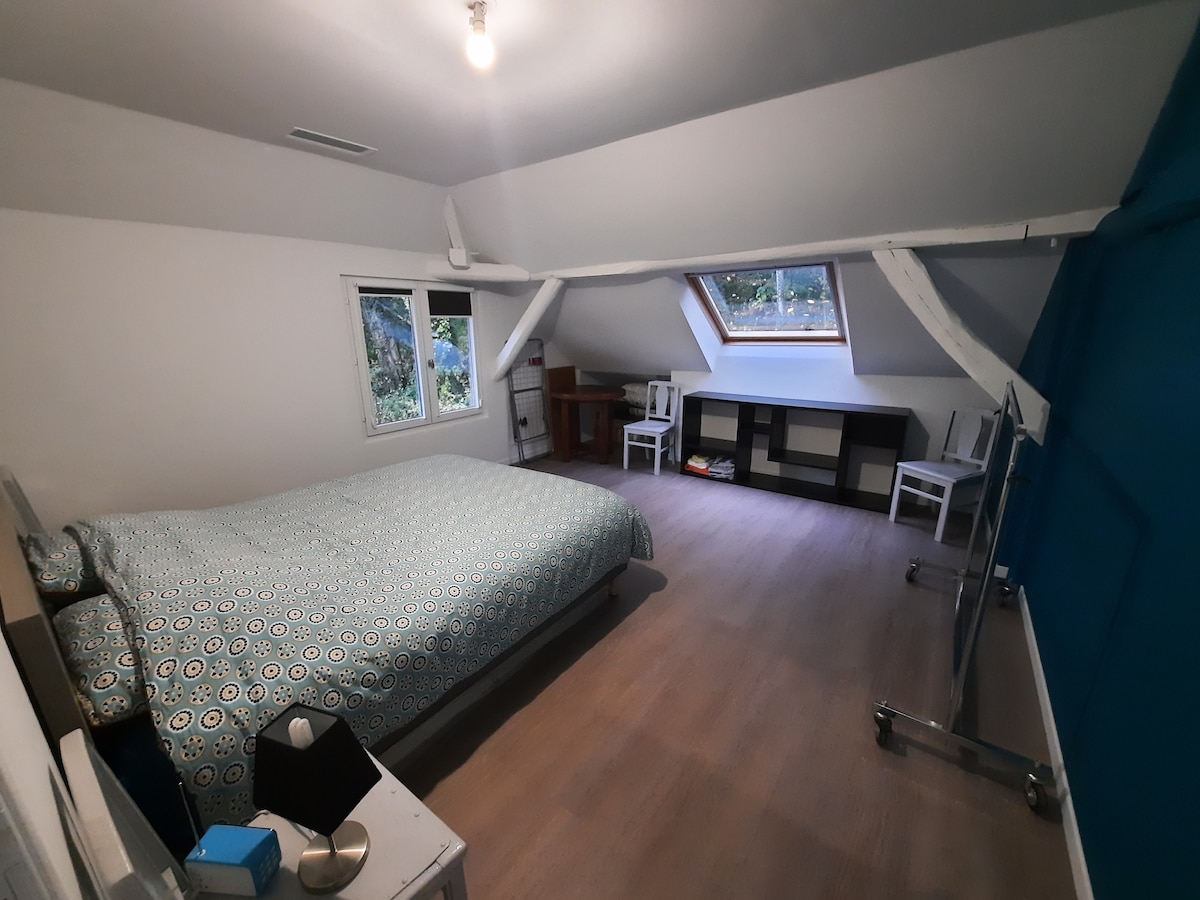 Gran habitación con cama king size y cama paraguas disponible 