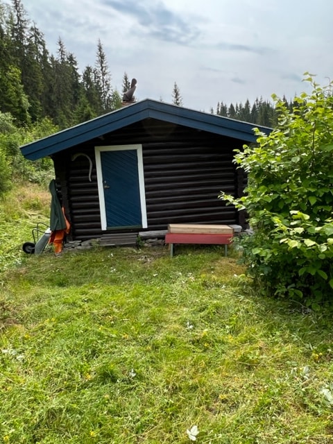 A small, rustic cabin is nestled within grassy grounds and surrounded by lush greenery. The structure features dark wooden logs and a blue door, adding a pop of color. A wooden bench is positioned outside, offering a place to relax in nature.