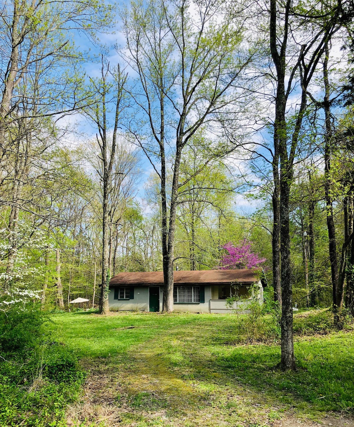 A tranquil cottage is nestled among tall trees, showcasing a lush green lawn. The home features a distinctive brown roof and large windows. Nearby, delicate blooms add a pop of color, while soft sunlight filters through the canopy, illuminating the peaceful surroundings.
