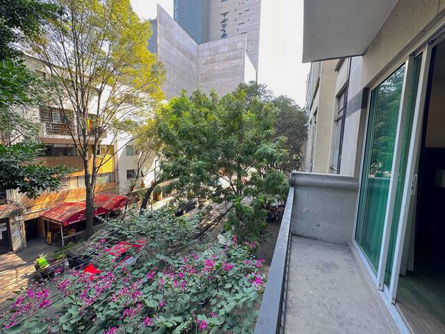 Spacious and Luxurious Apt. 1 block from Reforma gallery image 4