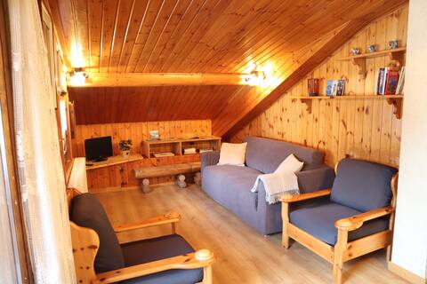 Successful Airbnb property: "Il bosco dei larici" (The Larch Forest) loft apartment in Valfurva