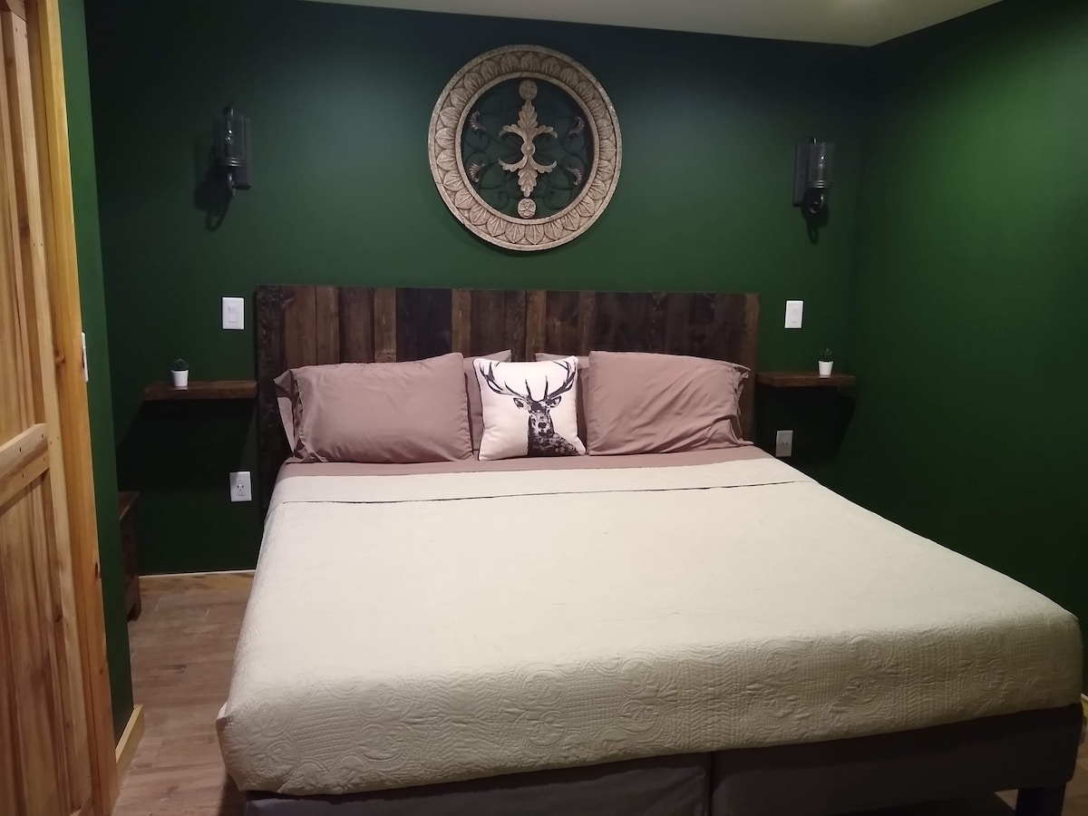 楼下卧室加大双人床，房间内安装了Roku电视。