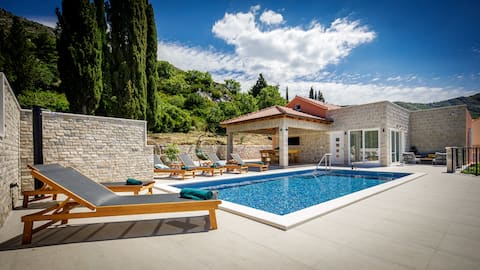 Villa Pajkan vacation house with pool