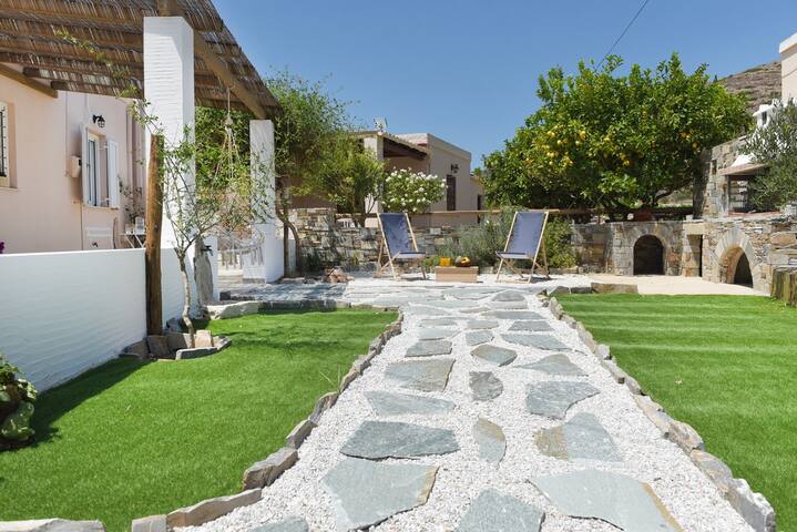 Pappou (250m from the sea ) gallery image 2