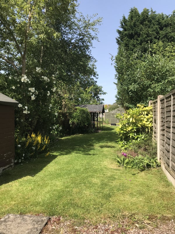 Entire terracedcottage w/ garden, petfriendly. Houses for Rent in