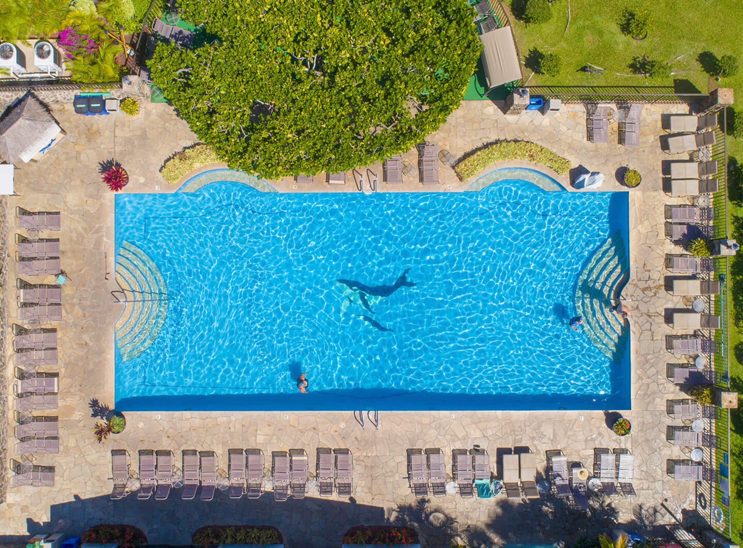 Condo in Kihei · ★4.89 · 2 bedrooms · 3 beds · 2 private baths - Image 5