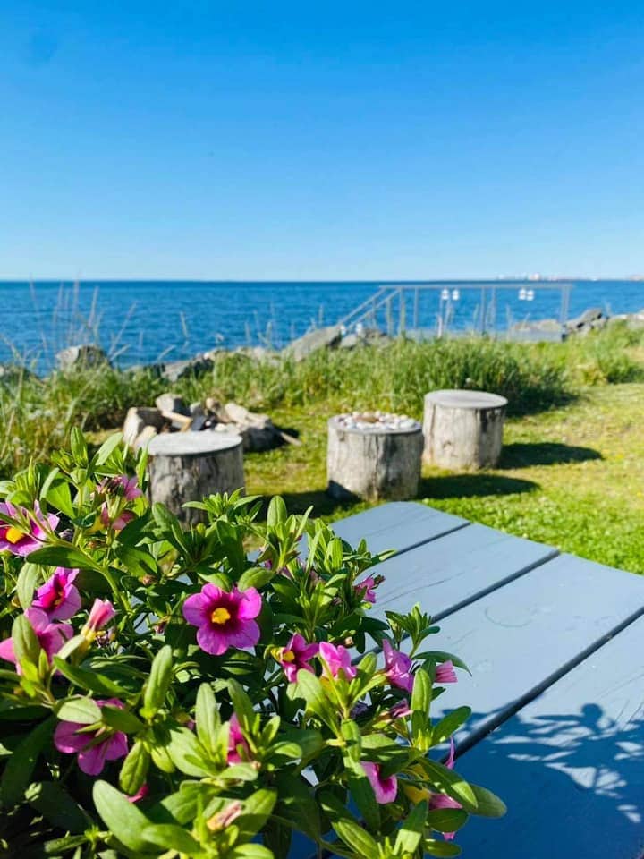A wooden picnic table is set in the foreground, surrounded by vibrant pink flowers. Beyond, the water glistens under a clear blue sky, with a rocky shoreline and several buoys visible in the distance. Natural grass and stumps provide a relaxed outdoor atmosphere.
