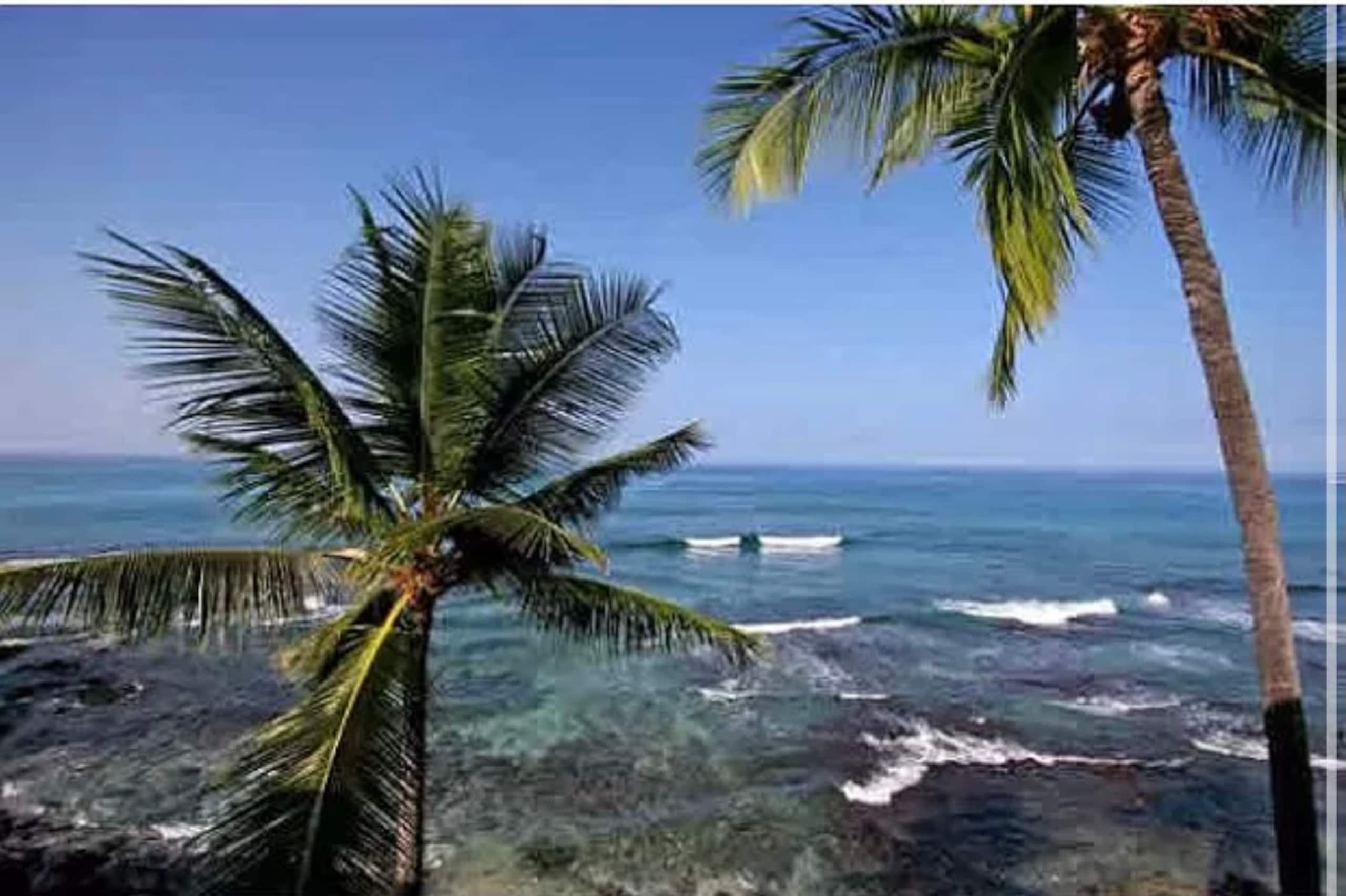 Condo in Kailua-Kona · ★4.95 · 2 bedrooms · 4 beds · 2 baths - Image 24