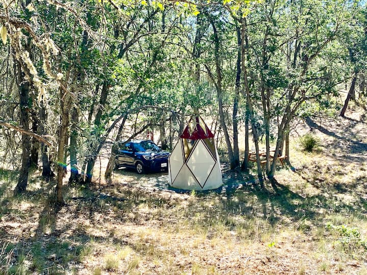 Yreka Vacation Rentals & Homes Yreka, CA Airbnb