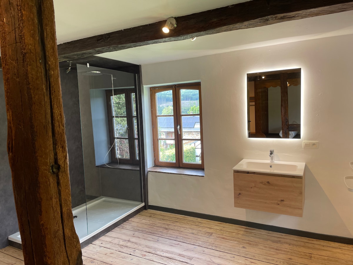 Основна спалня в банята - разходка под душа и мивка