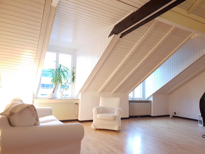 Precioso Loft En Pleno Centro De La Ciudad De Biel - Biel