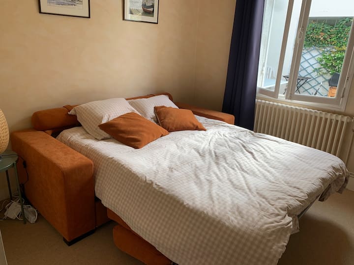 1 cama doble, dormitorio para adultos