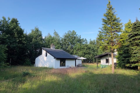Small cottage on a large natural plot close to Gudenåen
